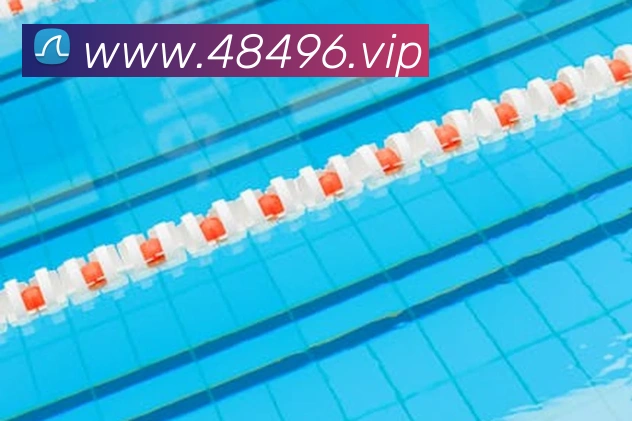 互动解说服务